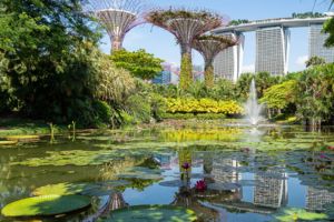 Gardens by the Bay