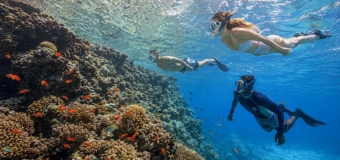 Snorkeling & Diving