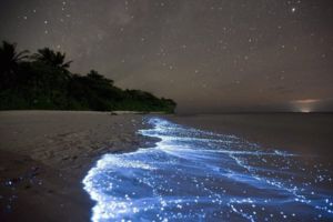 Vaadhoo Island